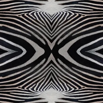 Flotex Vision flocked flooring - Zebra